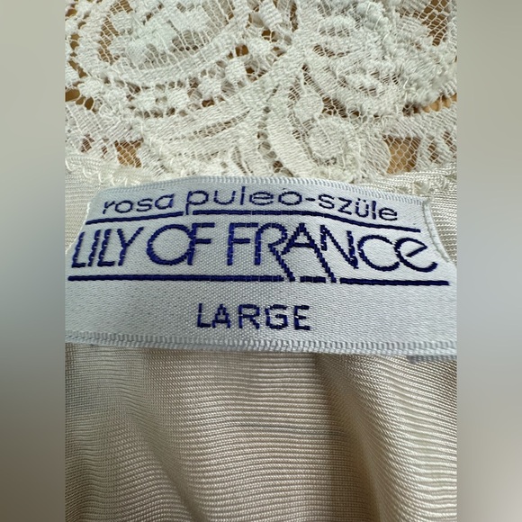 Vintage Lily of France Nylon Pleated Puff Sleeve Lace Heart Waterfall Back Gown - Picture 6 of 8